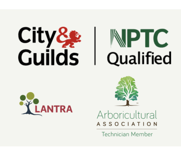 Photo of Kings Arboriculture Limited Photo of Kings Arboriculture Limited