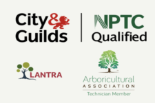 Photo of Kings Arboriculture Limited Photo of Kings Arboriculture Limited