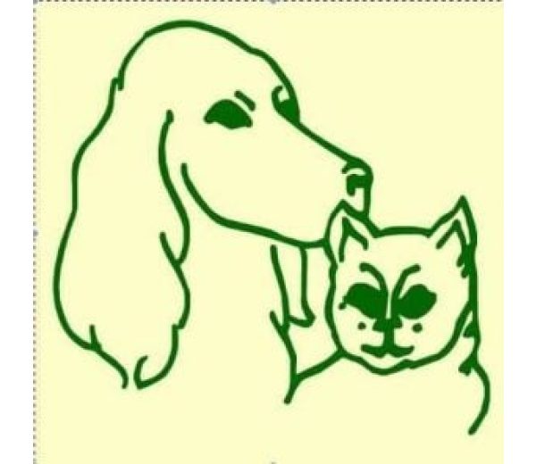 Photo of Kingswood Farm Kennels, Cattery & Dog Groomers Photo of Kingswood Farm Kennels, Cattery & Dog Groomers