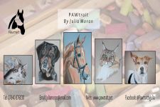 Photo of PAWtrait Photo of PAWtrait