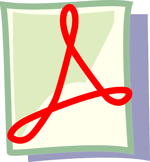 pdf icon graphic