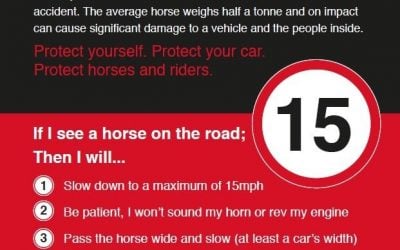 Dead Slow? Good Choice