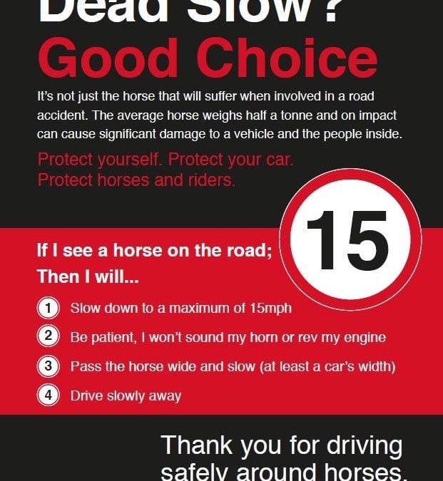 Dead Slow? Good Choice