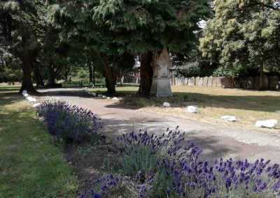 Lavender border - Parish Cemetery